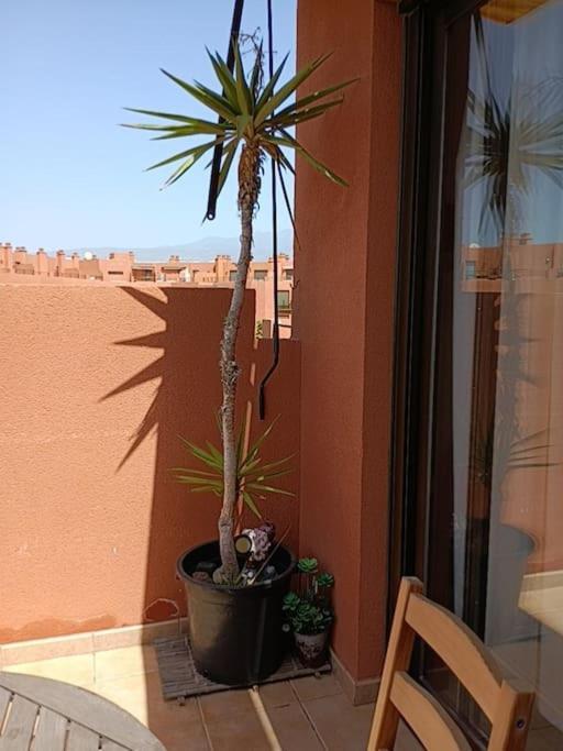Apartamento Con Vistas เอลเมดาโน ภายนอก รูปภาพ